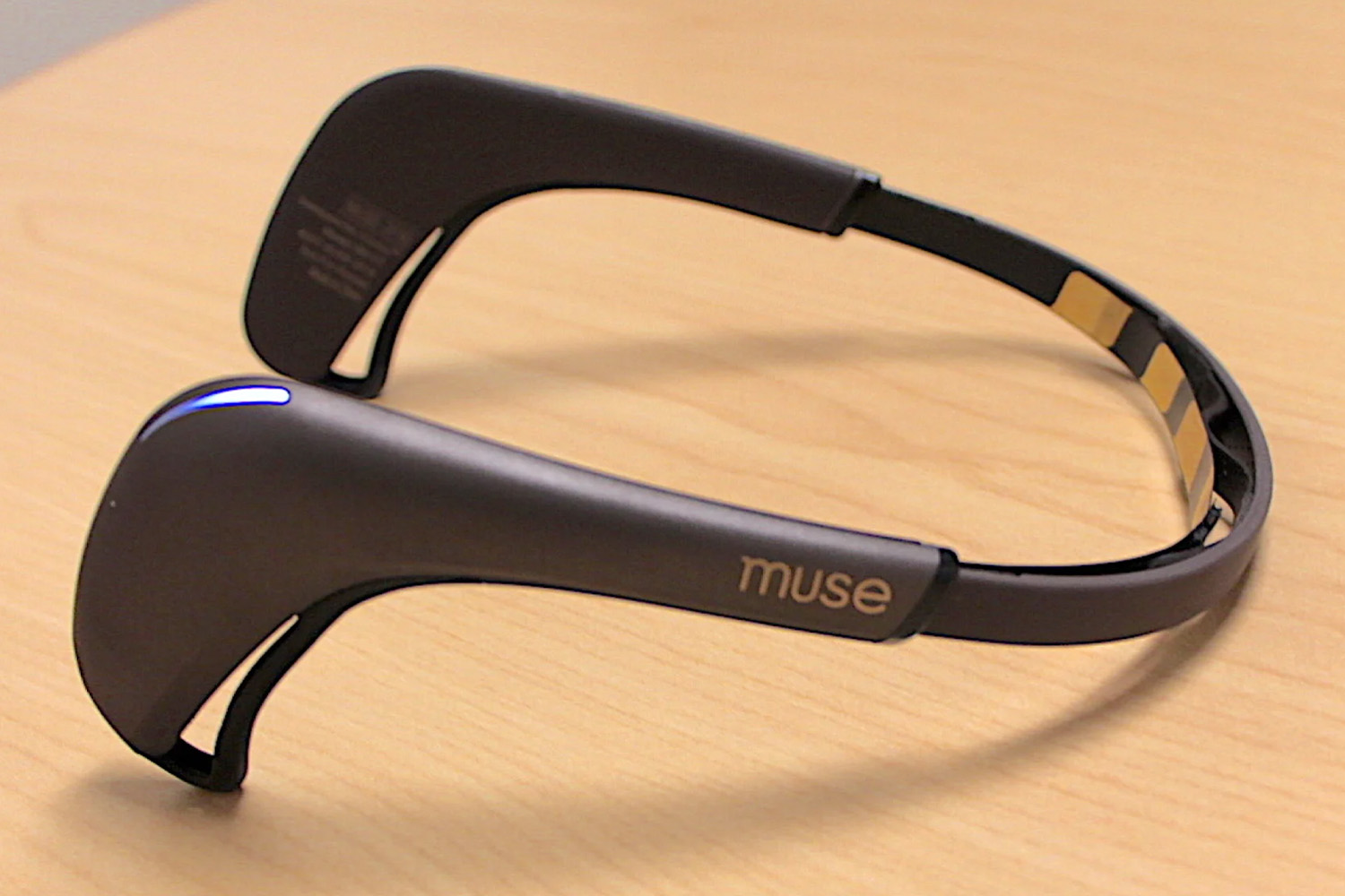 EEG Interface Preview